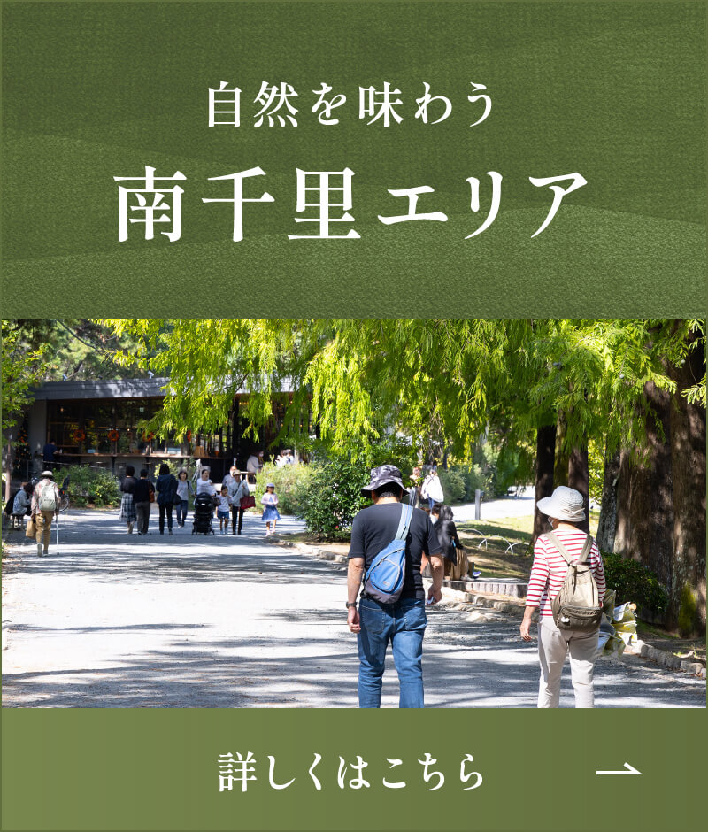 自然を味わう南千里エリア